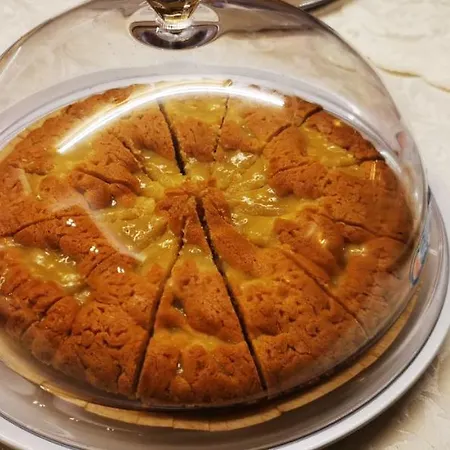 فندق أليكساندر