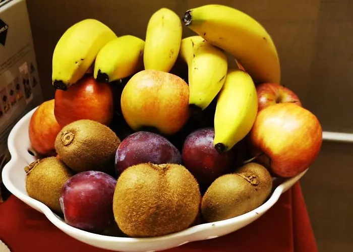 Hotel New Alexander 3*