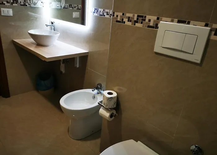 Hotel New Alexander Janov